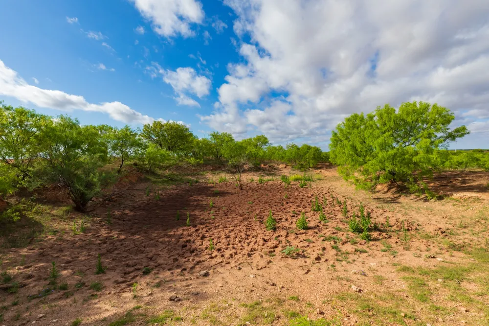 600 Fm 600 Haskell, TX 79553