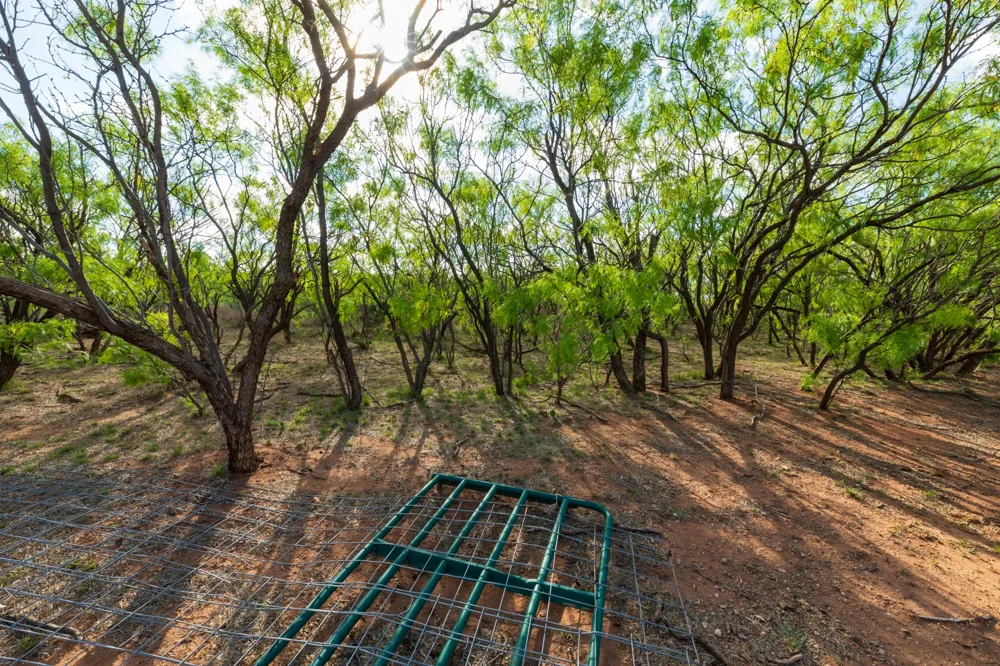 600 Fm 600 Haskell, TX 79553