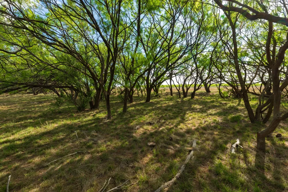 600 Fm 600 Haskell, TX 79553