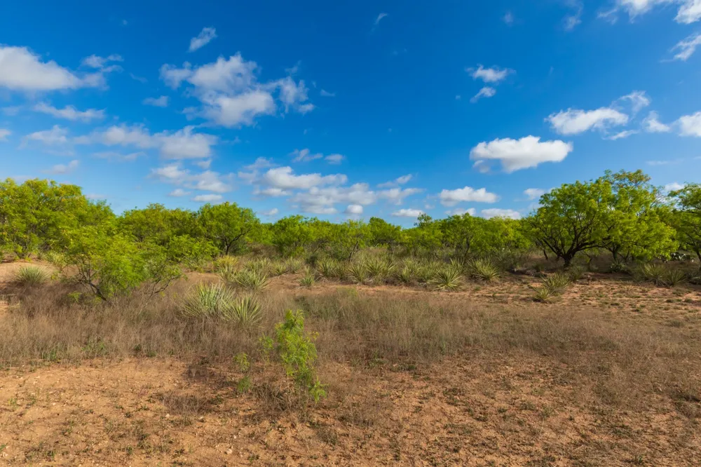 600 Fm 600 Haskell, TX 79553