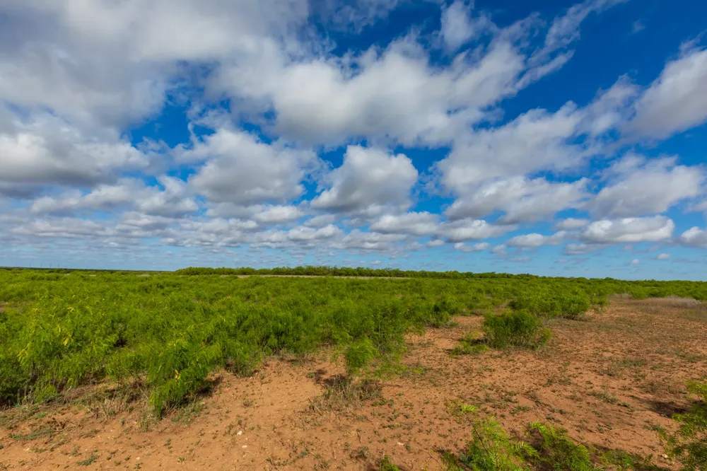600 Fm 600 Haskell, TX 79553