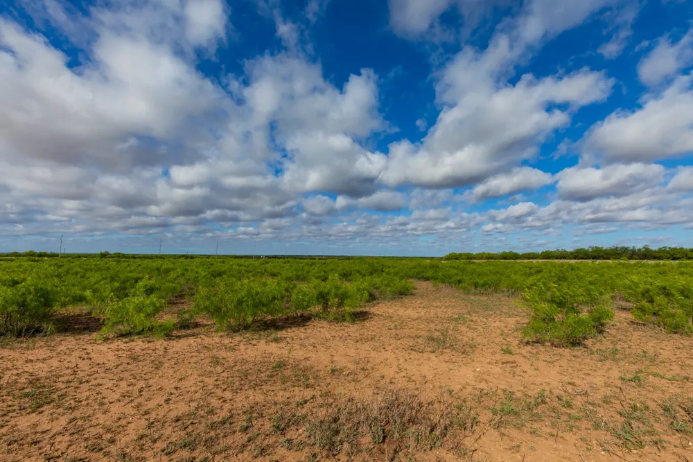 600 Fm 600 Haskell, TX 79553