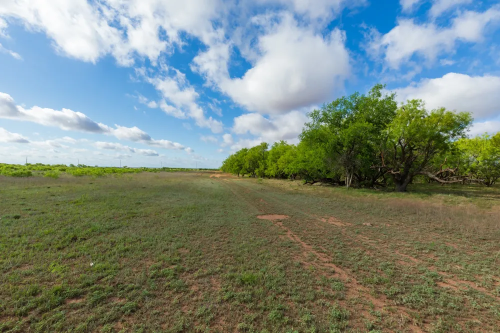 600 Fm 600 Haskell, TX 79553