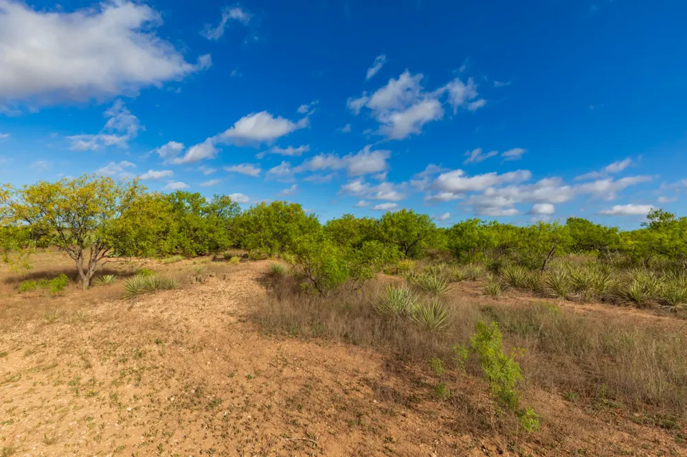 600 Fm 600 Haskell, TX 79553
