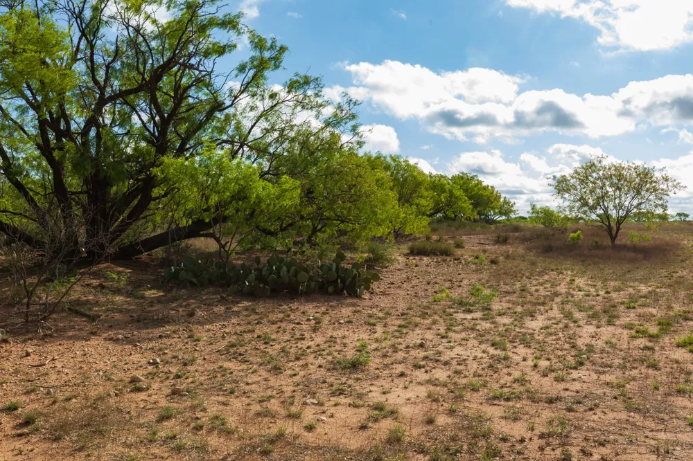 600 Fm 600 Haskell, TX 79553