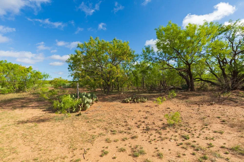 600 Fm 600 Haskell, TX 79553