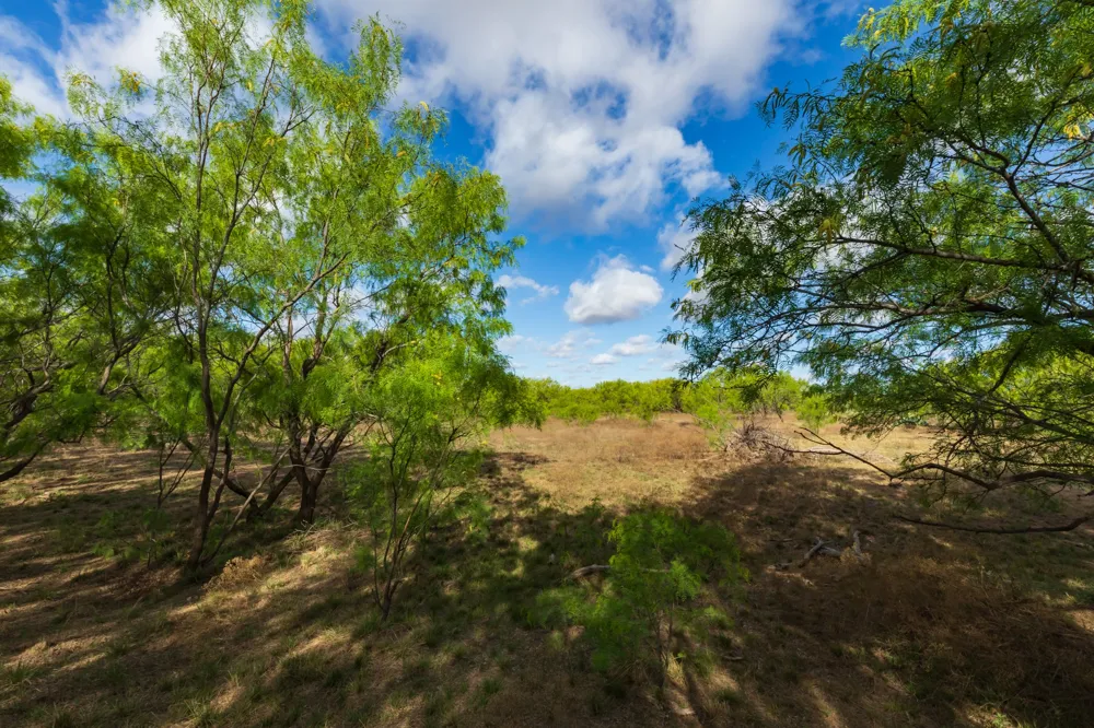 600 Fm 600 Haskell, TX 79553
