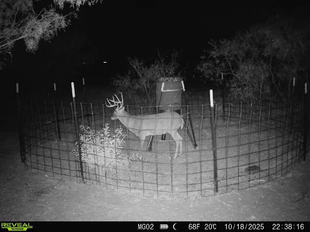 600 Fm 600 Haskell, TX 79553