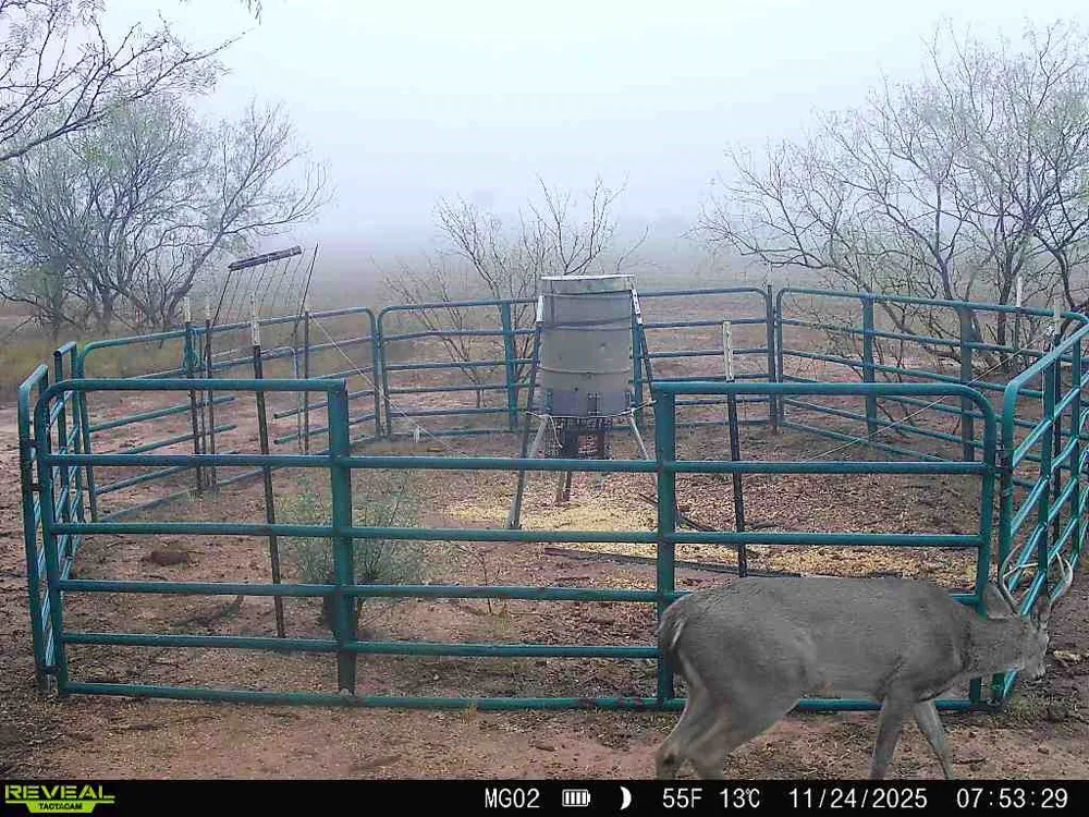 600 Fm 600 Haskell, TX 79553