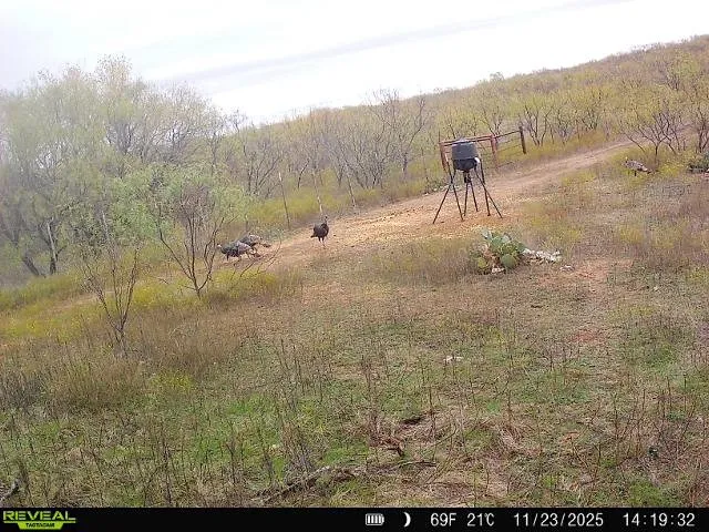 600 Fm 600 Haskell, TX 79553