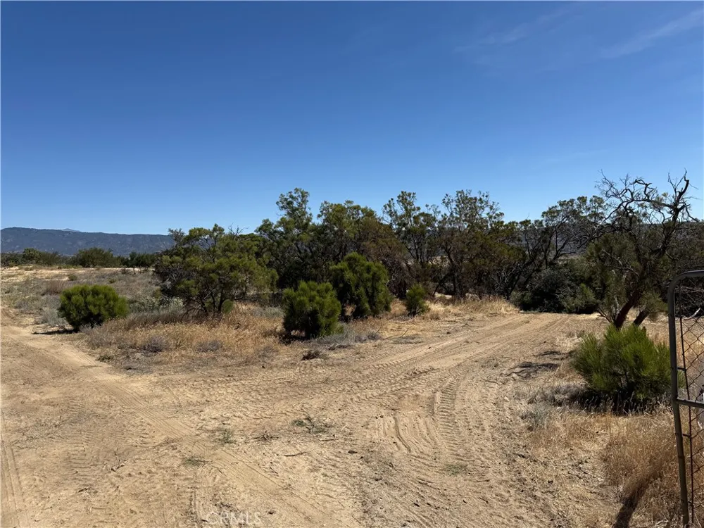 57313 Holland Anza, CA 92539