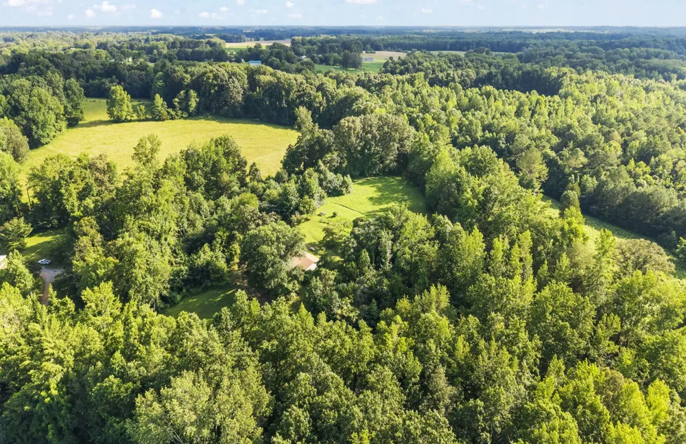 133 Mockerson Rd Leoma, TN 38468