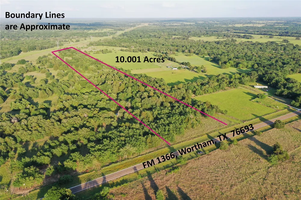 FM 1366 Wortham, TX 76693