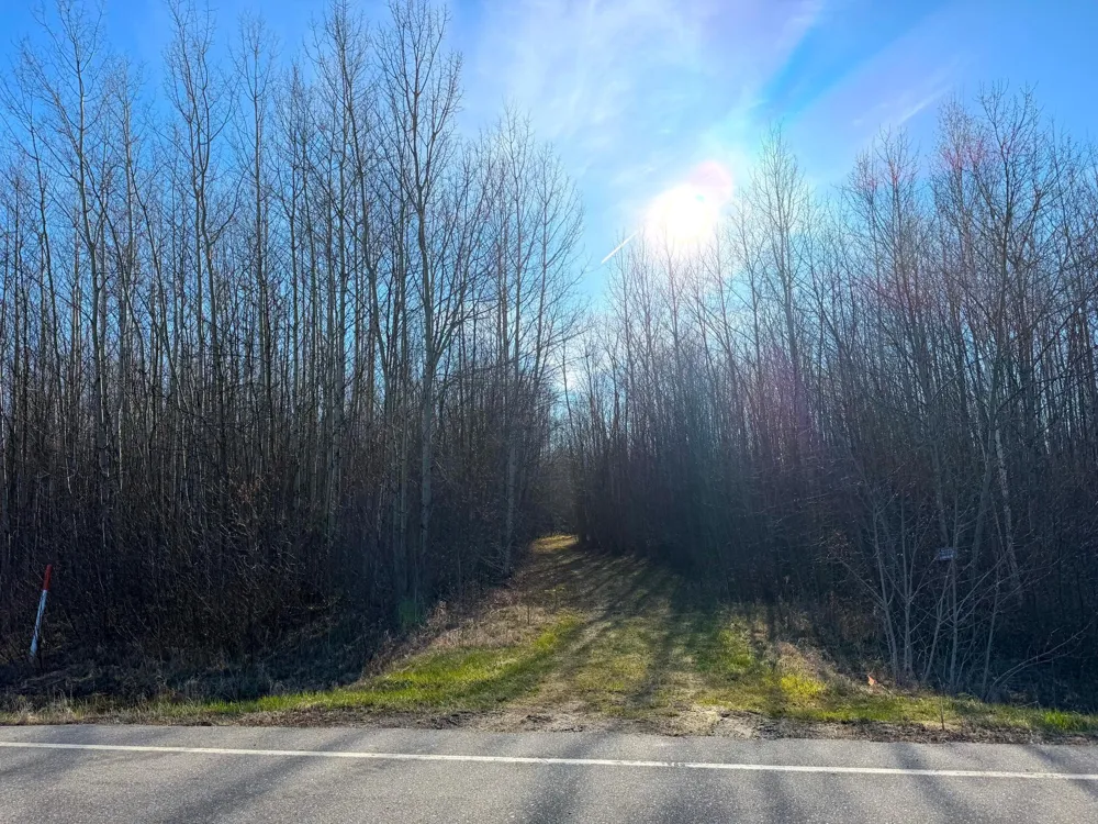 Lot F County Road 79 Littlefork, MN 56653