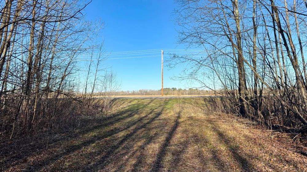 Lot F County Road 79 Littlefork, MN 56653