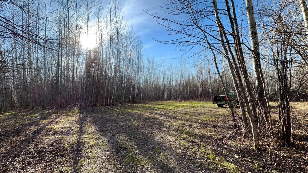 Lot F County Road 79 Littlefork, MN 56653