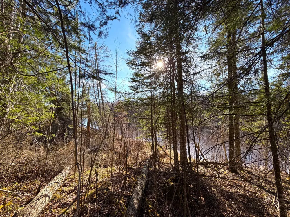Lot F County Road 79 Littlefork, MN 56653
