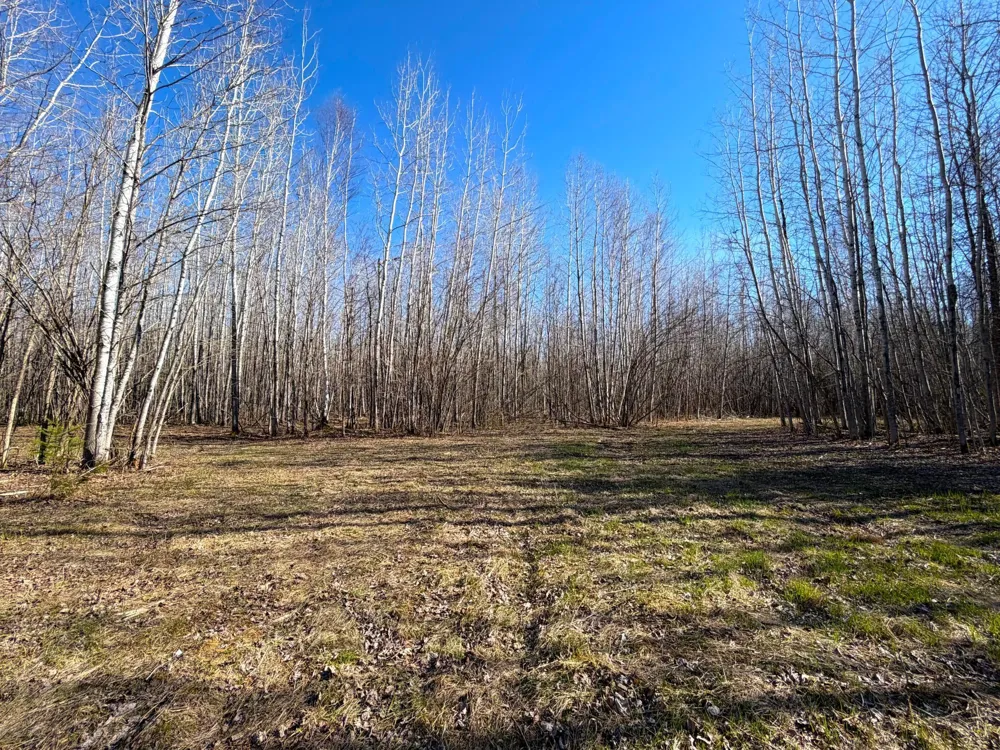 Lot F County Road 79 Littlefork, MN 56653