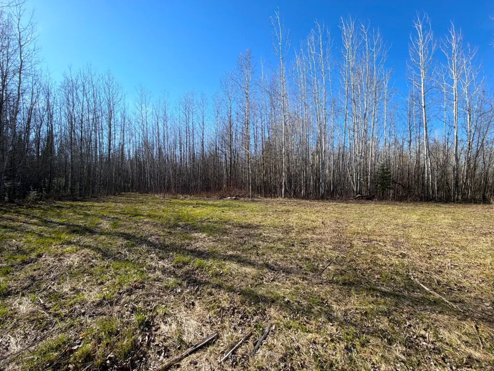 Lot F County Road 79 Littlefork, MN 56653