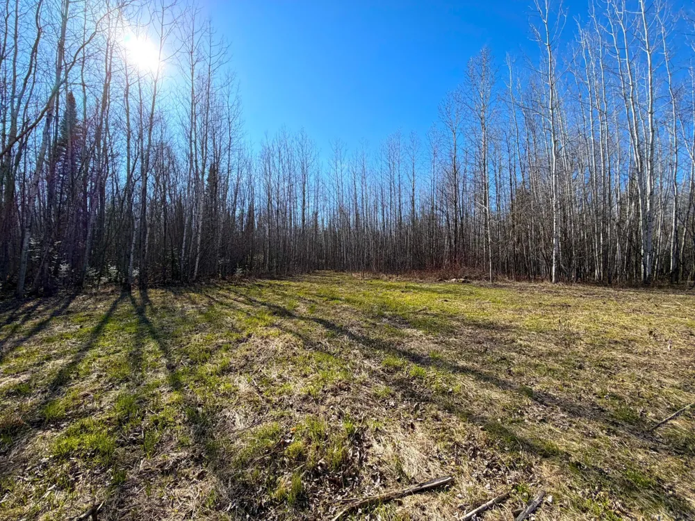 Lot F County Road 79 Littlefork, MN 56653