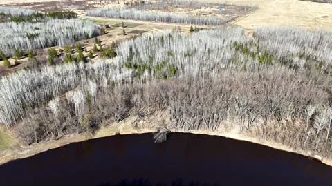 Lot F County Road 79