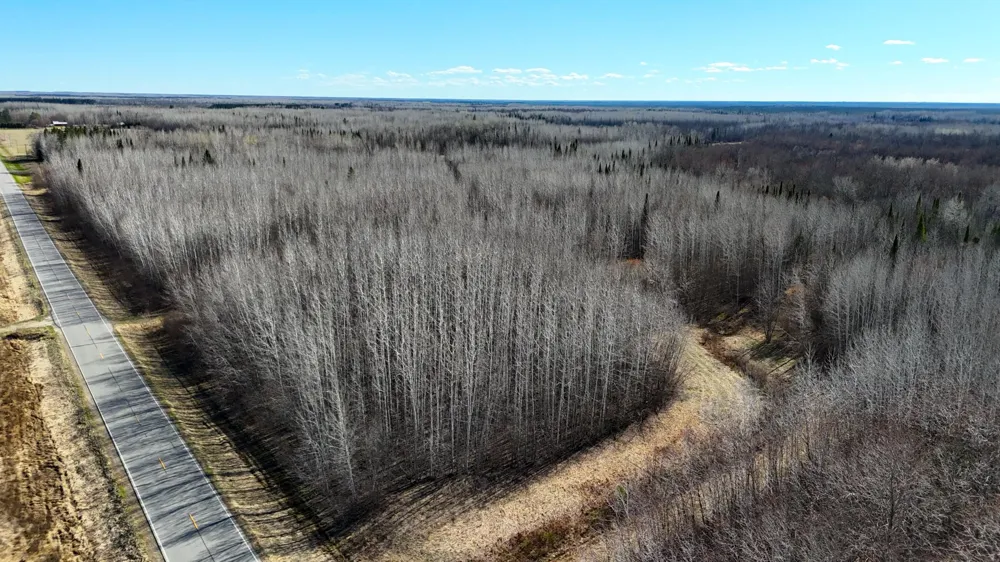Lot F County Road 79 Littlefork, MN 56653