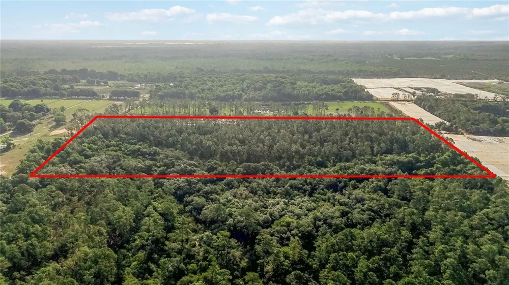 23175 BUCKHILL ROAD Howey In The Hills, FL 34737