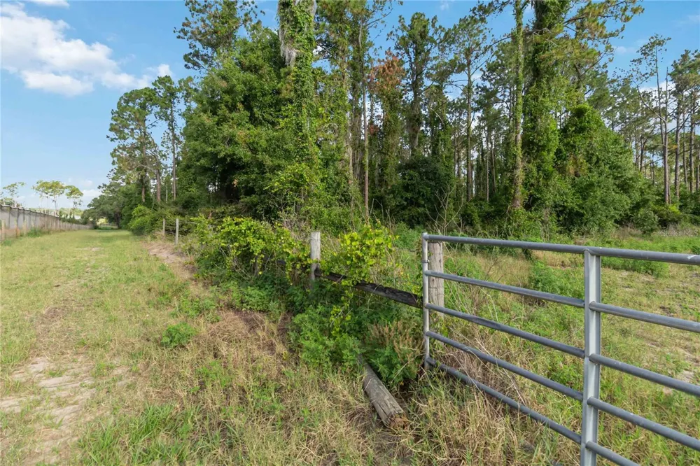 23175 BUCKHILL ROAD Howey In The Hills, FL 34737