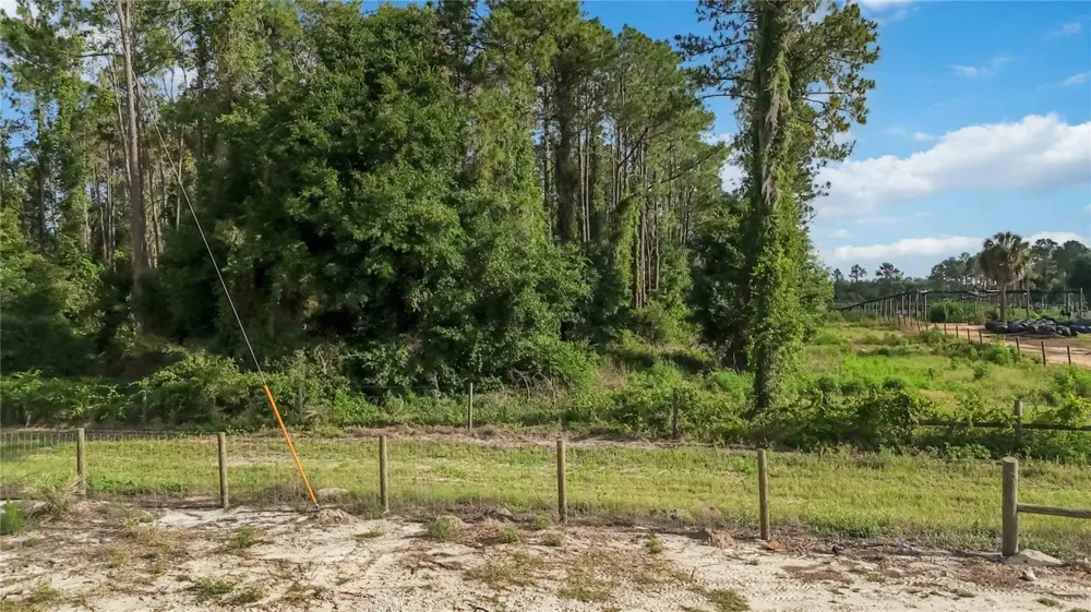 23175 BUCKHILL ROAD Howey In The Hills, FL 34737