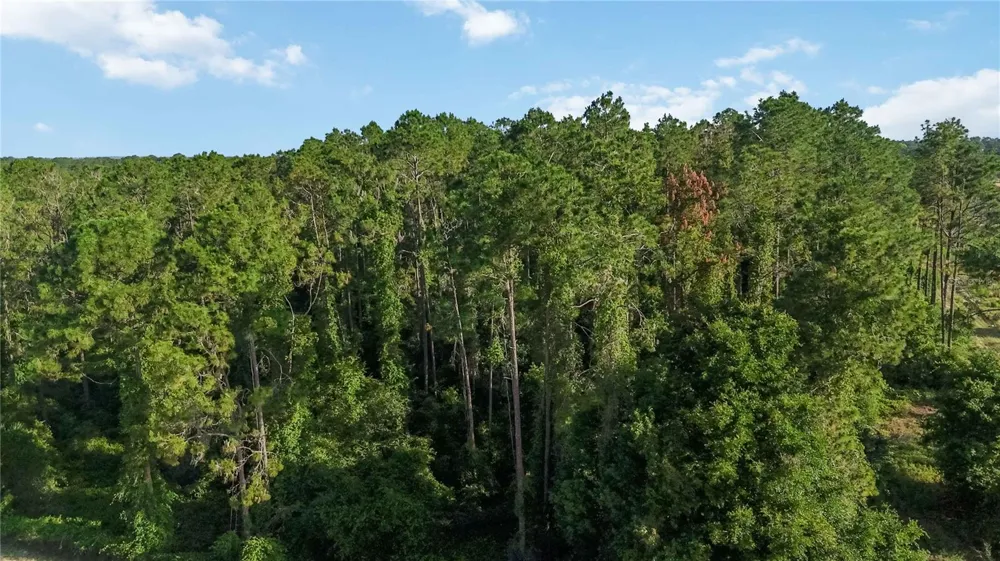 23175 BUCKHILL ROAD Howey In The Hills, FL 34737