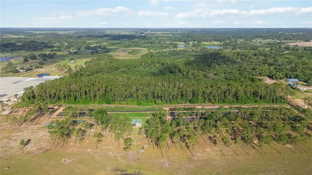 23175 BUCKHILL ROAD Howey In The Hills, FL 34737
