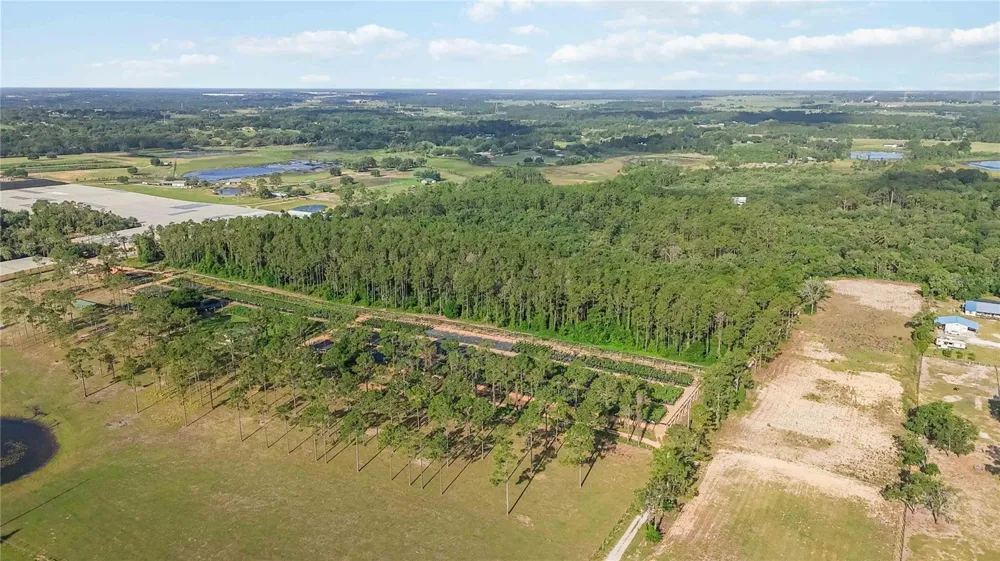 23175 BUCKHILL ROAD Howey In The Hills, FL 34737