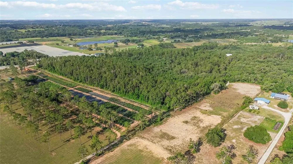 23175 BUCKHILL ROAD Howey In The Hills, FL 34737