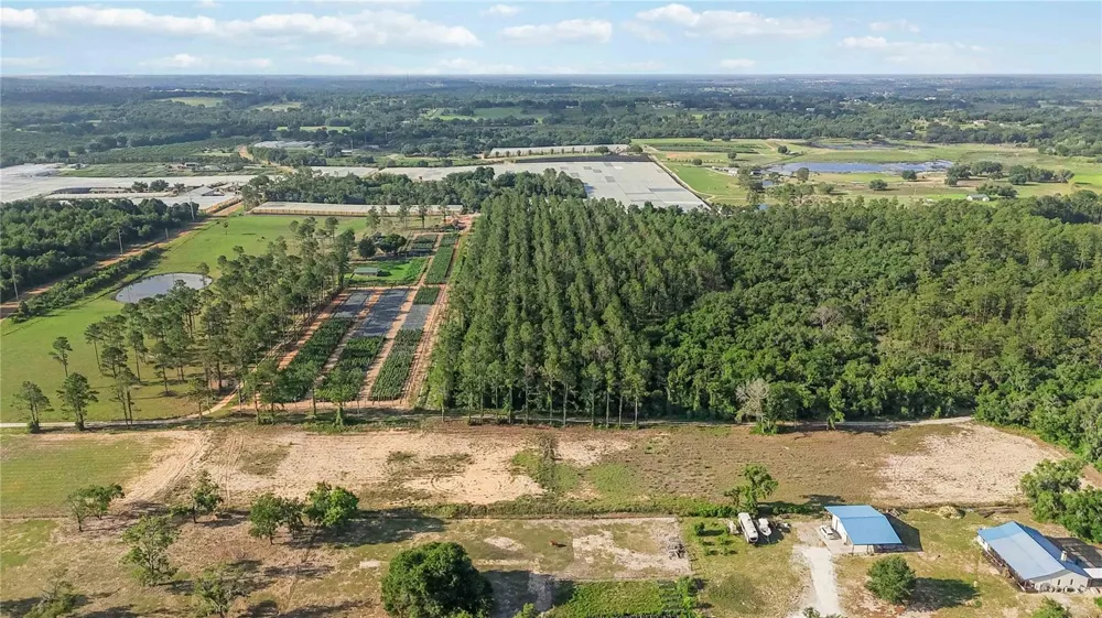 23175 BUCKHILL ROAD Howey In The Hills, FL 34737