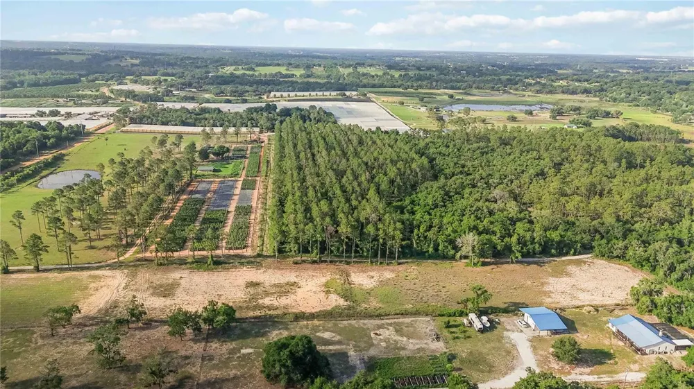 23175 BUCKHILL ROAD Howey In The Hills, FL 34737