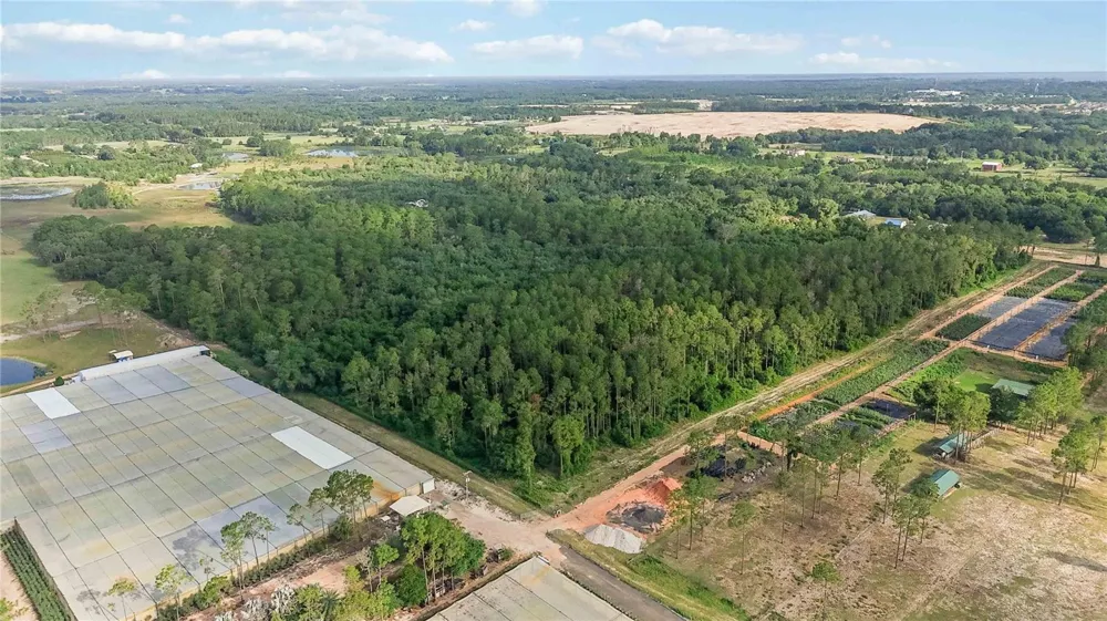 23175 BUCKHILL ROAD Howey In The Hills, FL 34737
