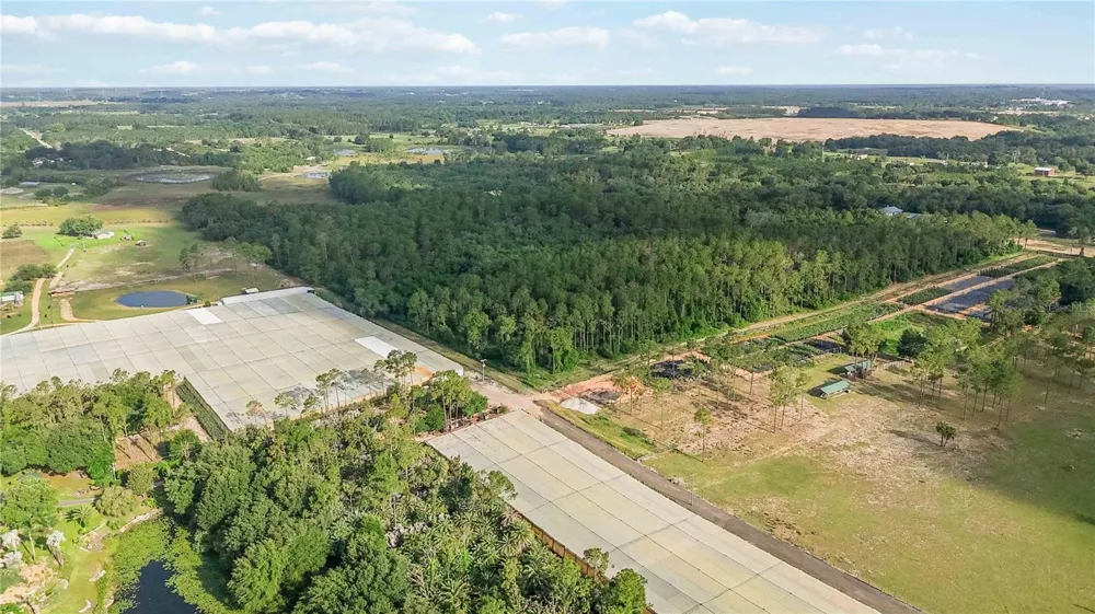 23175 BUCKHILL ROAD Howey In The Hills, FL 34737