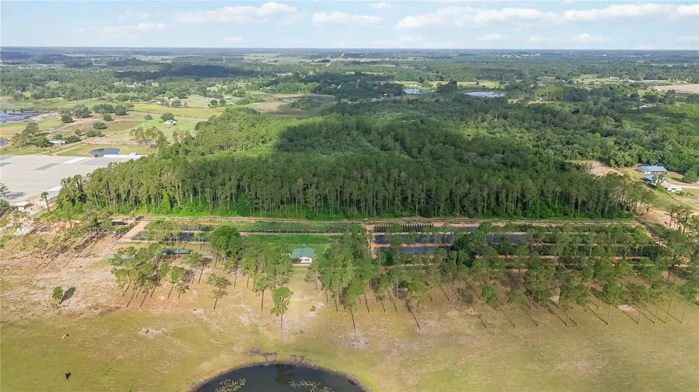 23175 BUCKHILL ROAD Howey In The Hills, FL 34737