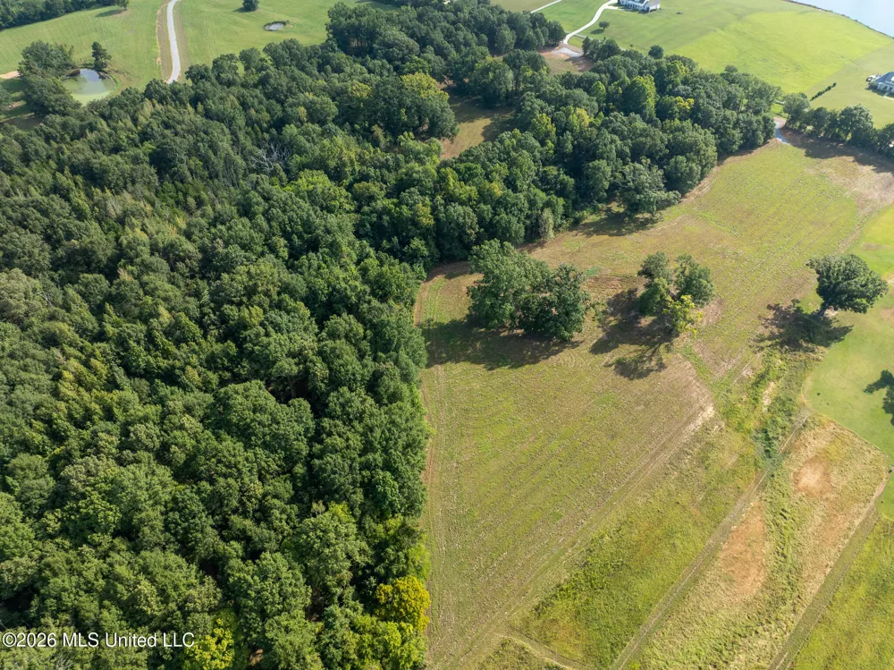 Cane Creek Road Flora, MS 39071