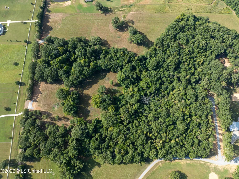 Cane Creek Road Flora, MS 39071