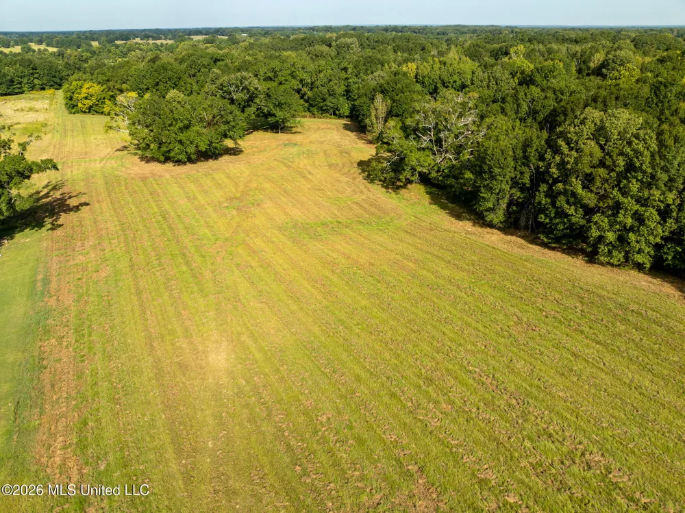 Cane Creek Road Flora, MS 39071