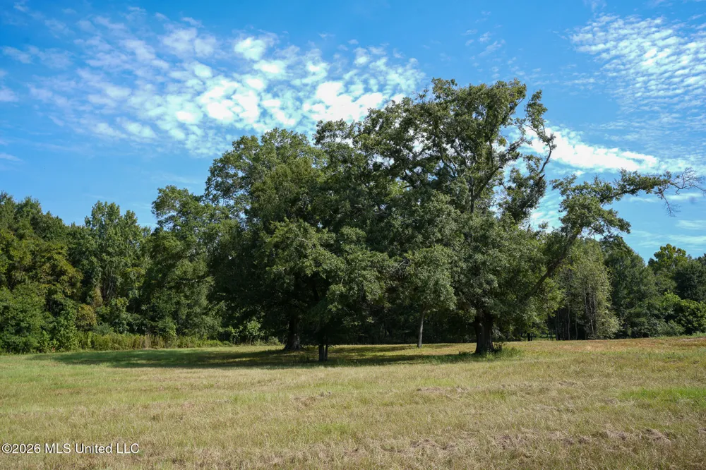 Cane Creek Road Flora, MS 39071