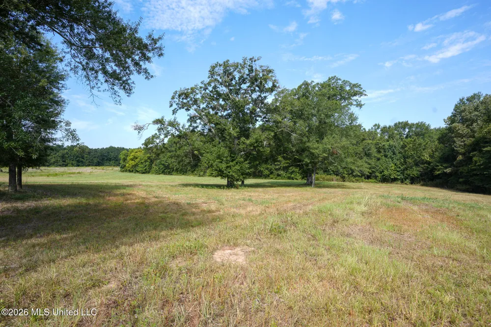 Cane Creek Road Flora, MS 39071