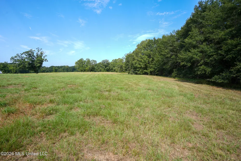 Cane Creek Road Flora, MS 39071