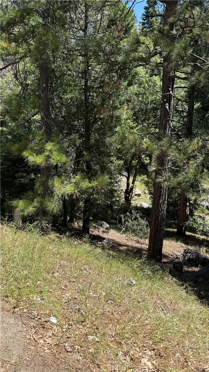 Thunderbird Lake Arrowhead, CA 92352