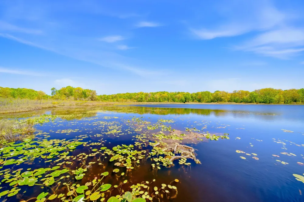 2099 E Clear Lake Road Buchanan Township, MI 49107