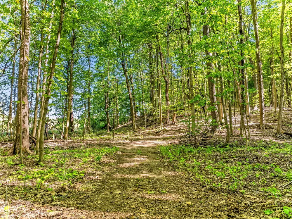 2099 E Clear Lake Road Buchanan Township, MI 49107
