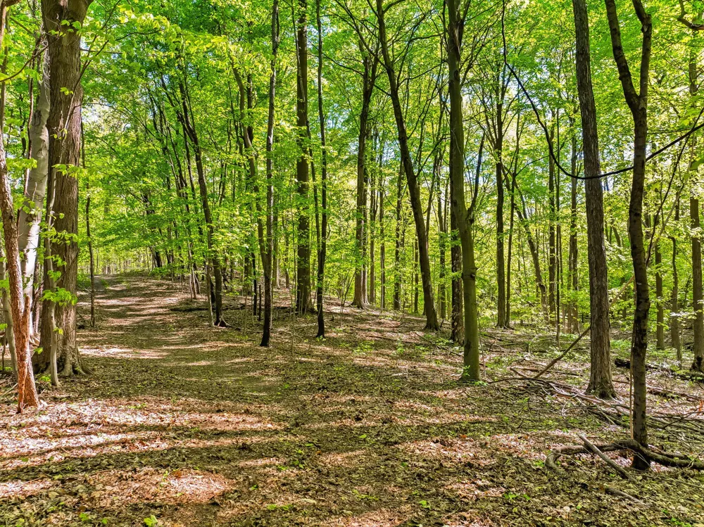 2099 E Clear Lake Road Buchanan Township, MI 49107