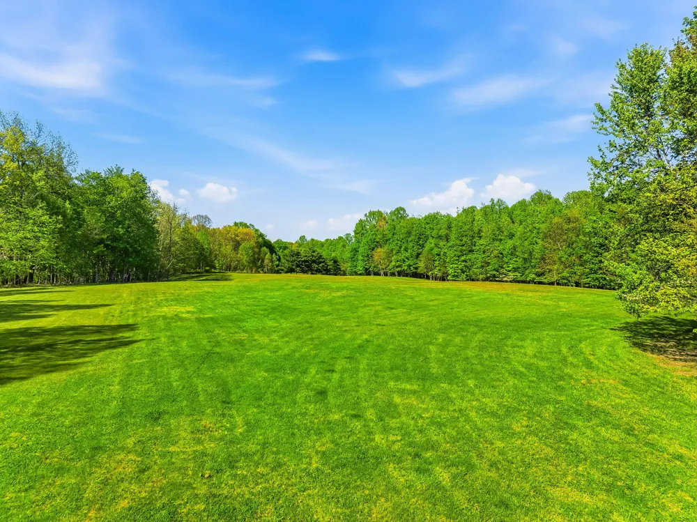 2099 E Clear Lake Road Buchanan Township, MI 49107