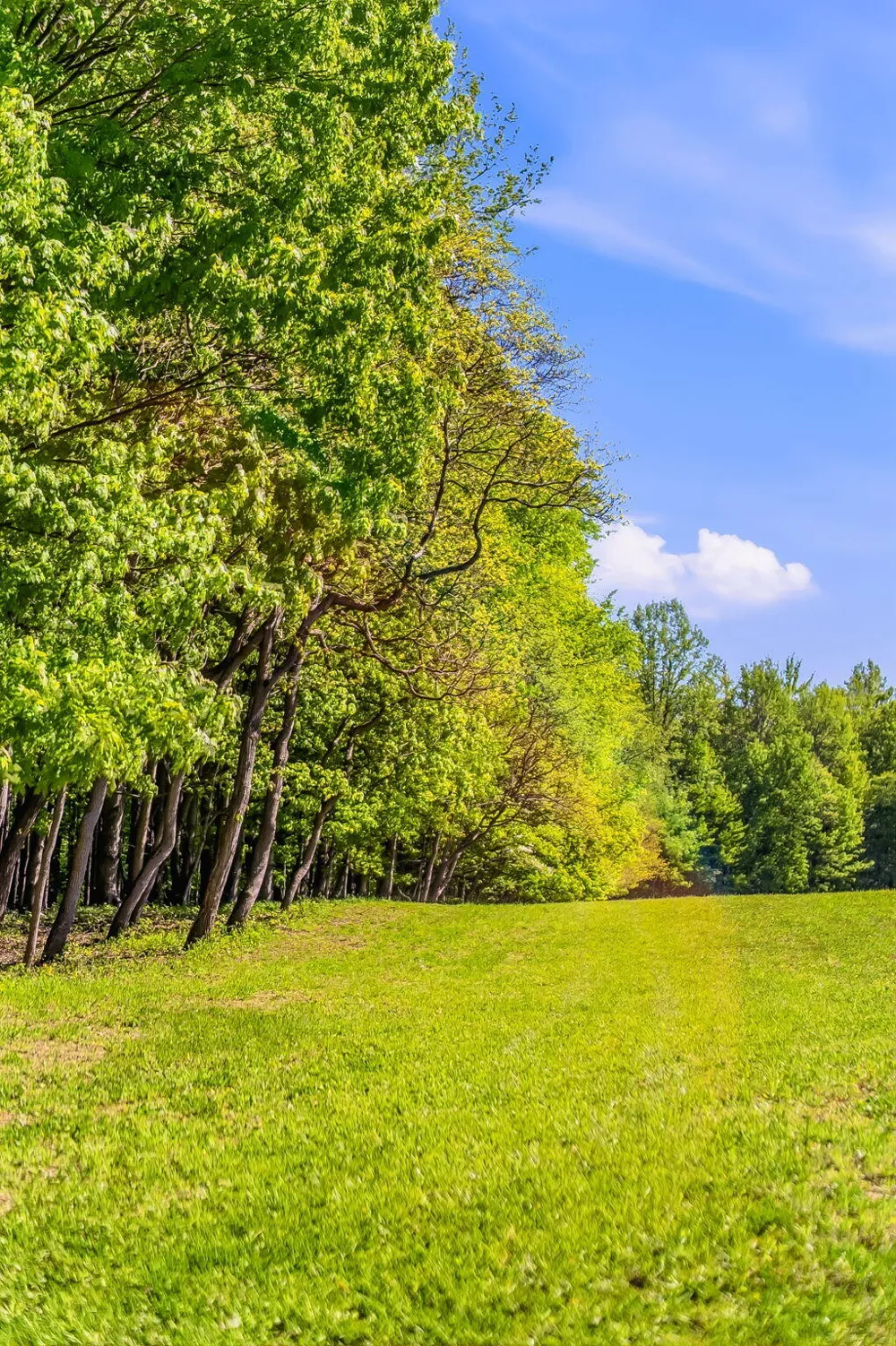 2099 E Clear Lake Road Buchanan Township, MI 49107